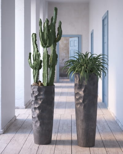 plant 5 AM260 Archmodels