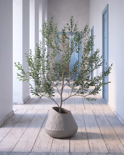 plant 9 AM260 Archmodels