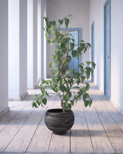 plant 10 AM260 Archmodels