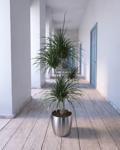 plant 19 AM260 Archmodels
