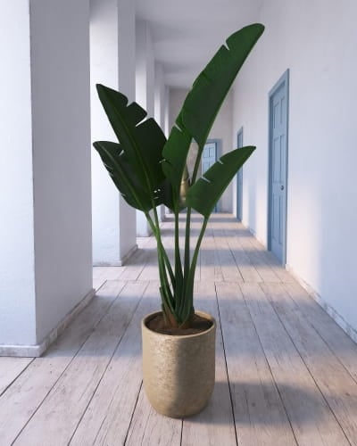 plant 20 AM260 Archmodels