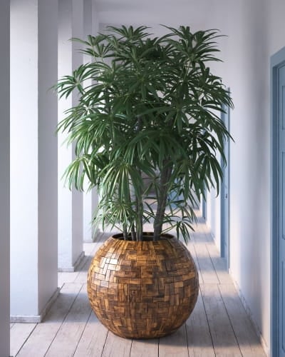 plant 25 AM260 Archmodels