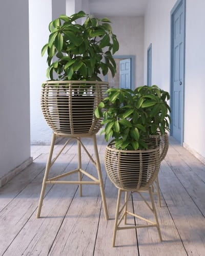 plant 28 AM260 Archmodels
