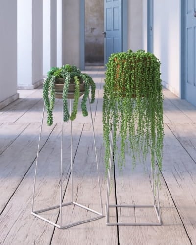 plant 33 AM260 Archmodels