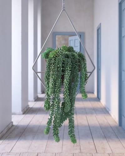 plant 34 AM260 Archmodels