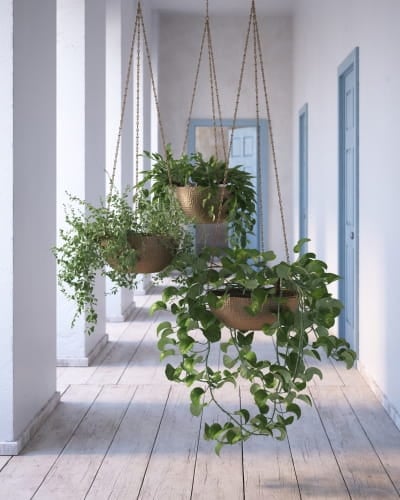 plant 37 AM260 Archmodels