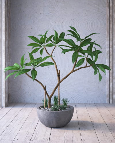 plant 1 AM268 Archmodels