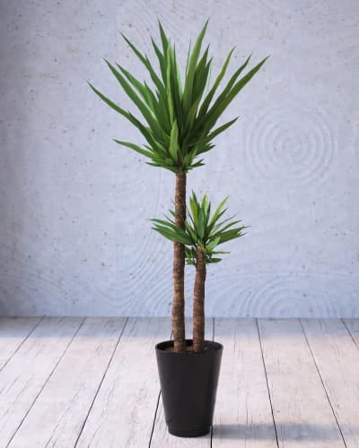plant 3 AM268 Archmodels