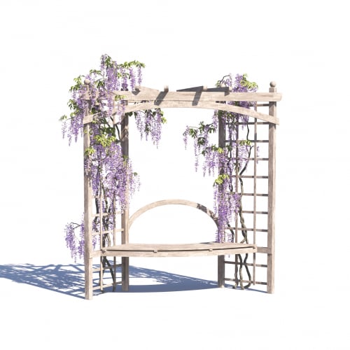 Wisteria sinensis 34 AM275 Archmodels