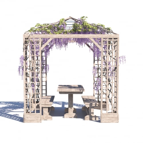 Wisteria sinensis 35 AM275 Archmodels