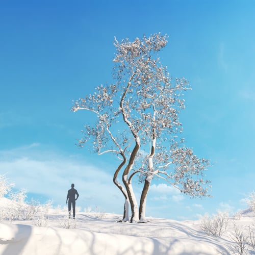 Alnus japonica 23 AM278 Archmodels