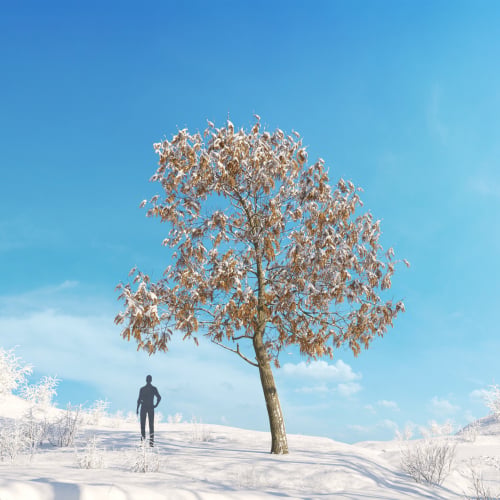 Fraxinus pennsylvanica 25 AM278 Archmodels