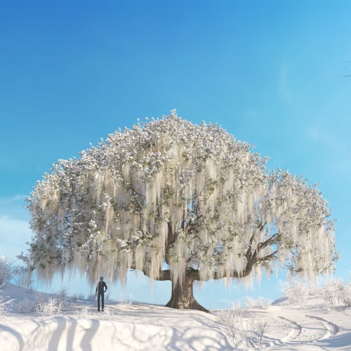 Live oak 55 AM278 Archmodels