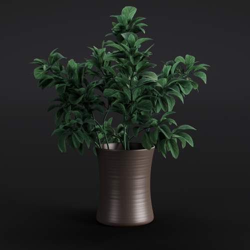 Stachys Byzantina 6 AM280 Archmodels