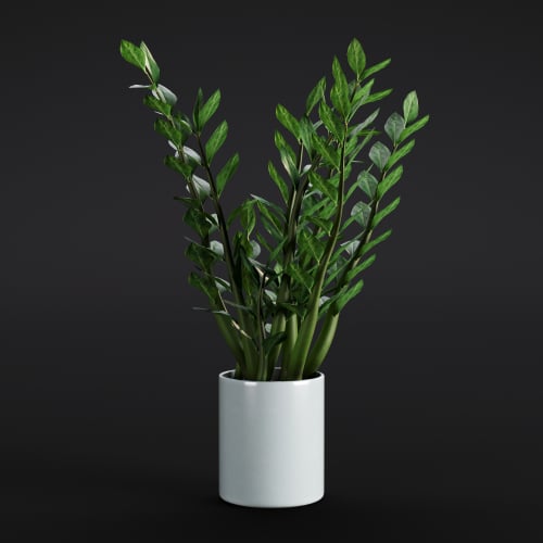 Aroid palm 7 AM280 Archmodels