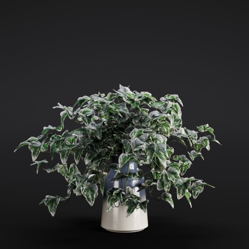 Hedera Helix 12 AM280 Archmodels