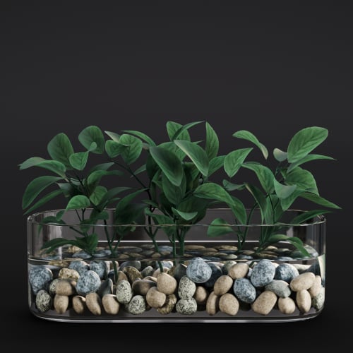 Stachys Byzantina 15 AM280 Archmodels