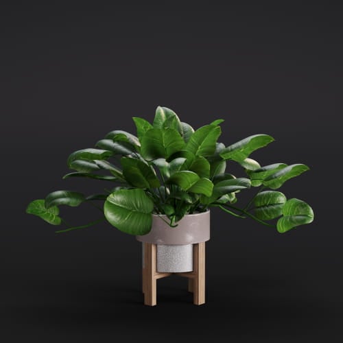 Pothos Marble Queen 7 AM282 Archmodels