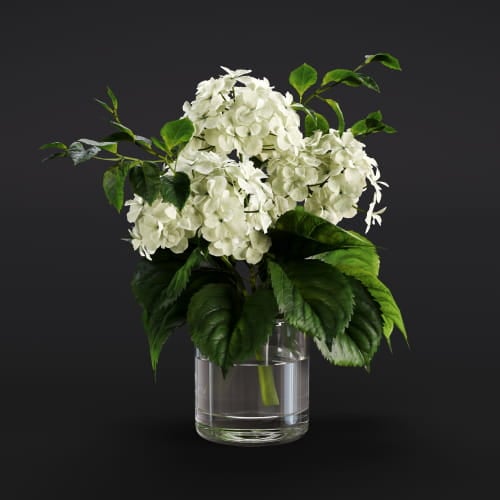 Hortensia 15 AM282 Archmodels