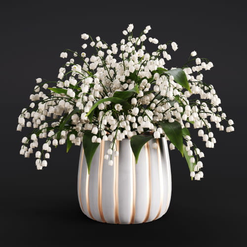 Convallaria 17 AM282 Archmodels