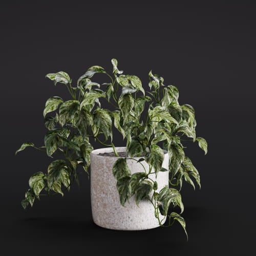 Philodendron 18 AM282 Archmodels
