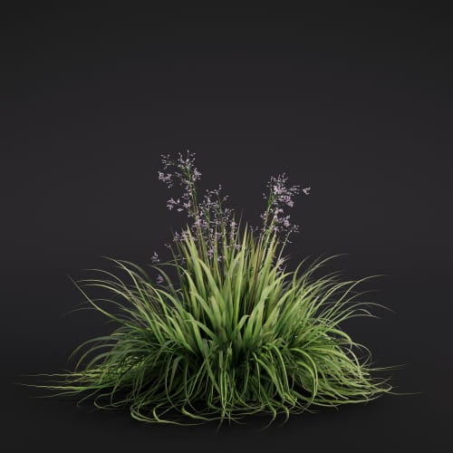 Luzula sylvatica 42 AM286 Archmodels
