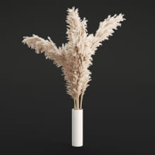 pampas grass bouquet 01 AM294