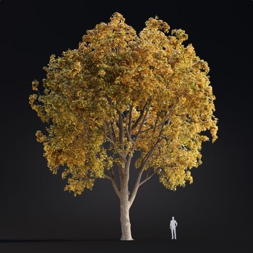 Acer 26 AM299 Archmodels