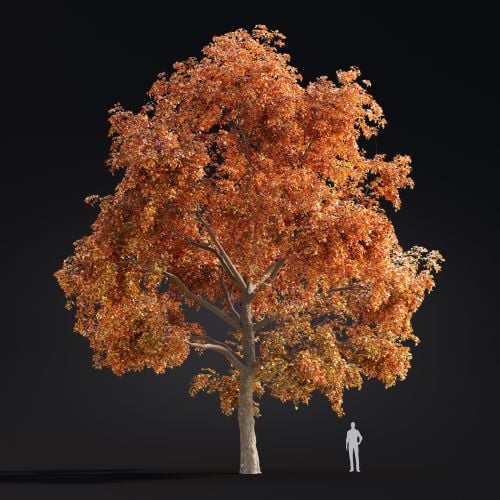 Acer 28 AM299 Archmodels