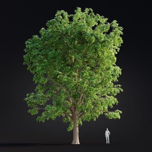 Acer 29 AM299 Archmodels