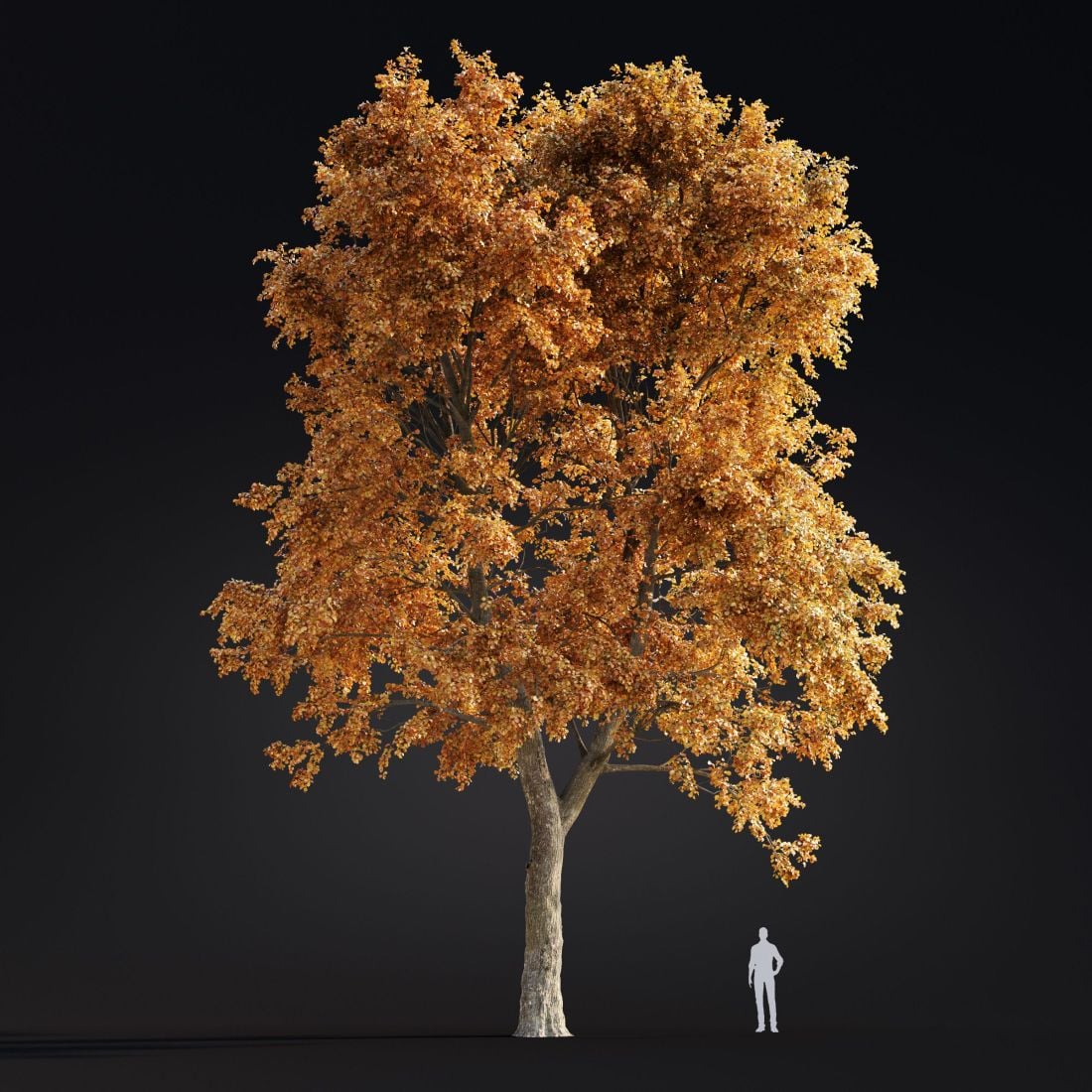 AM299_040