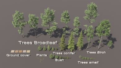 AM308_006_Biome_002_1
