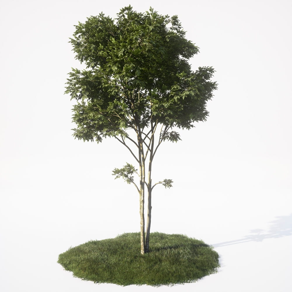 AM_UE4_vol4_001
