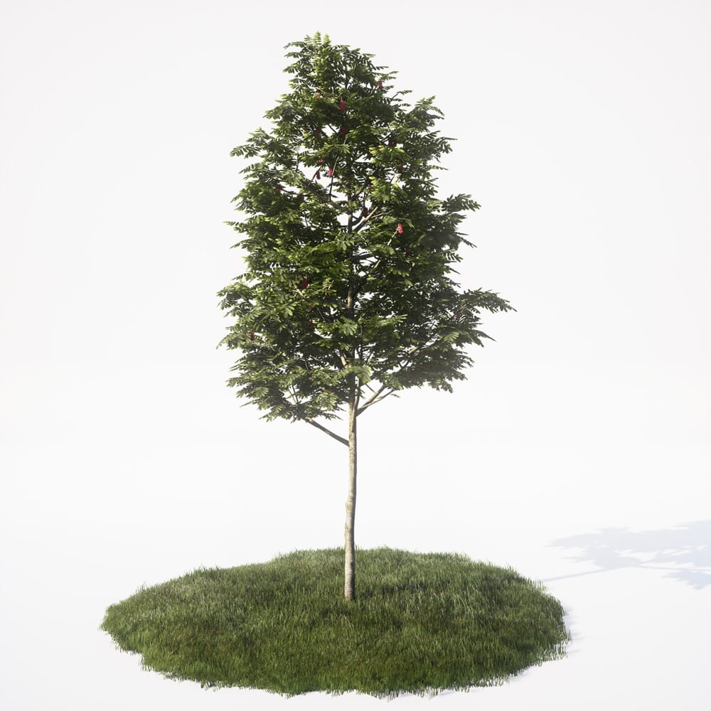 AM_UE4_vol4_002