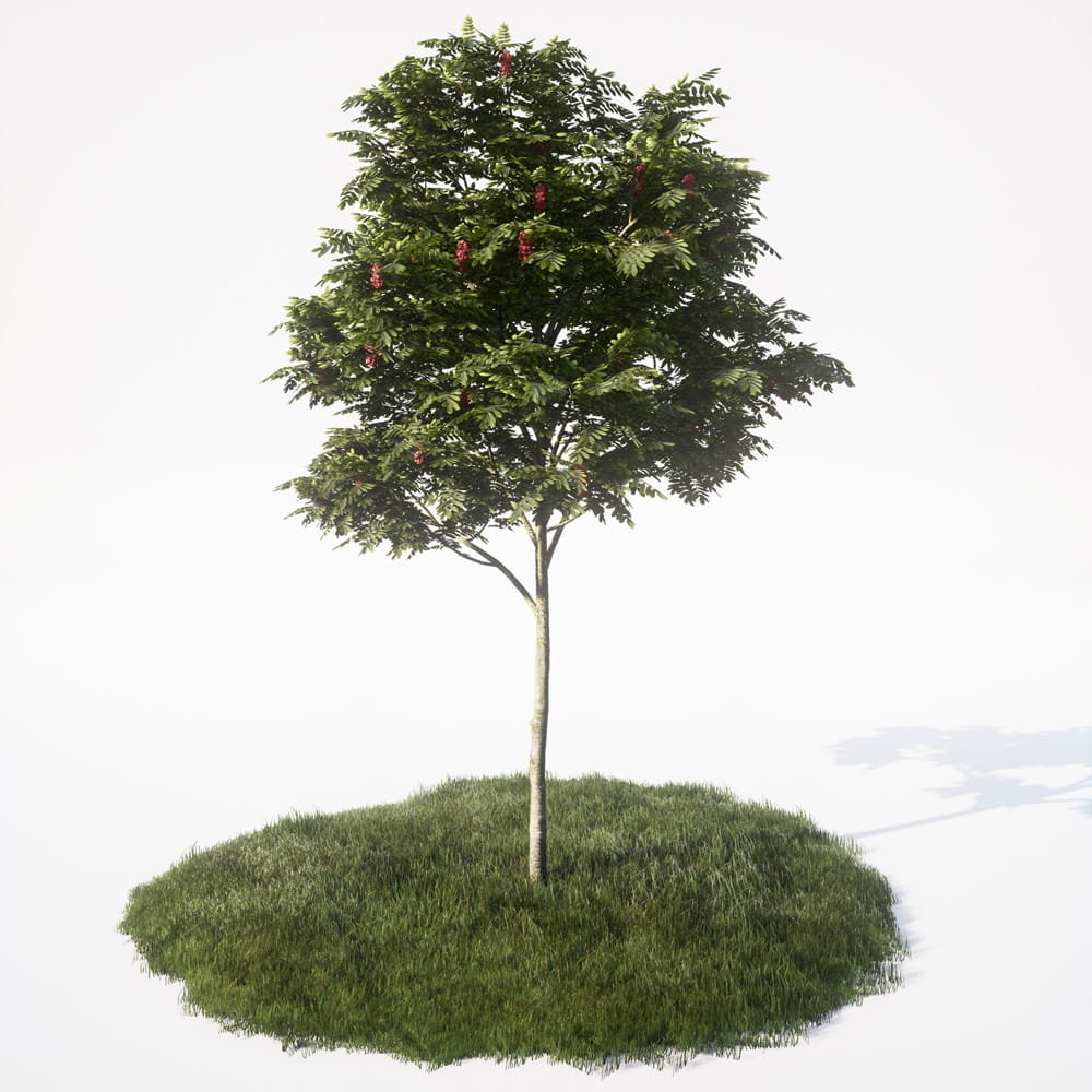 AM_UE4_vol4_003