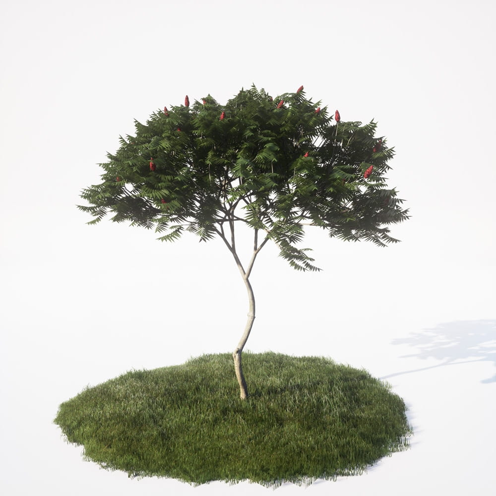 AM_UE4_vol4_004