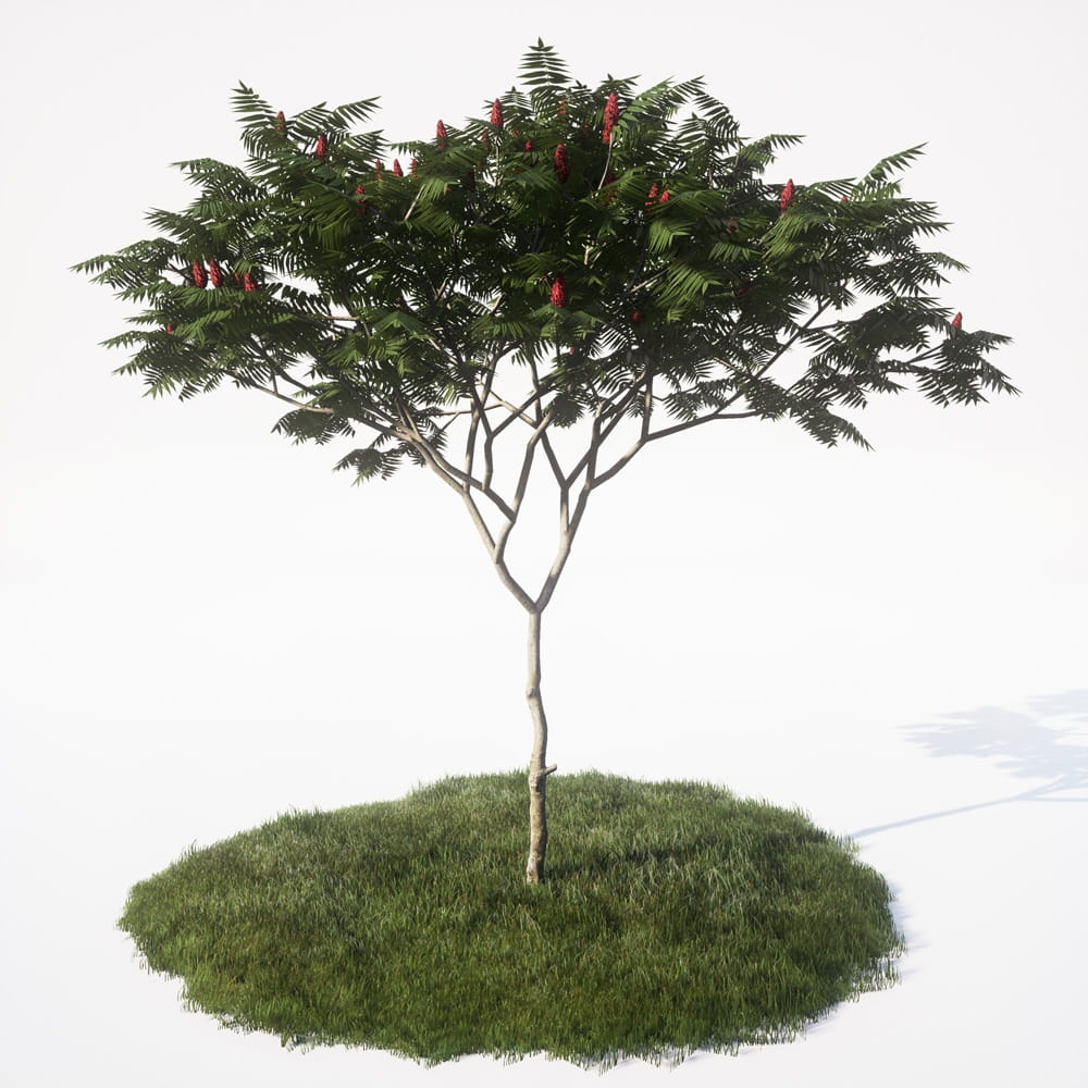AM_UE4_vol4_005
