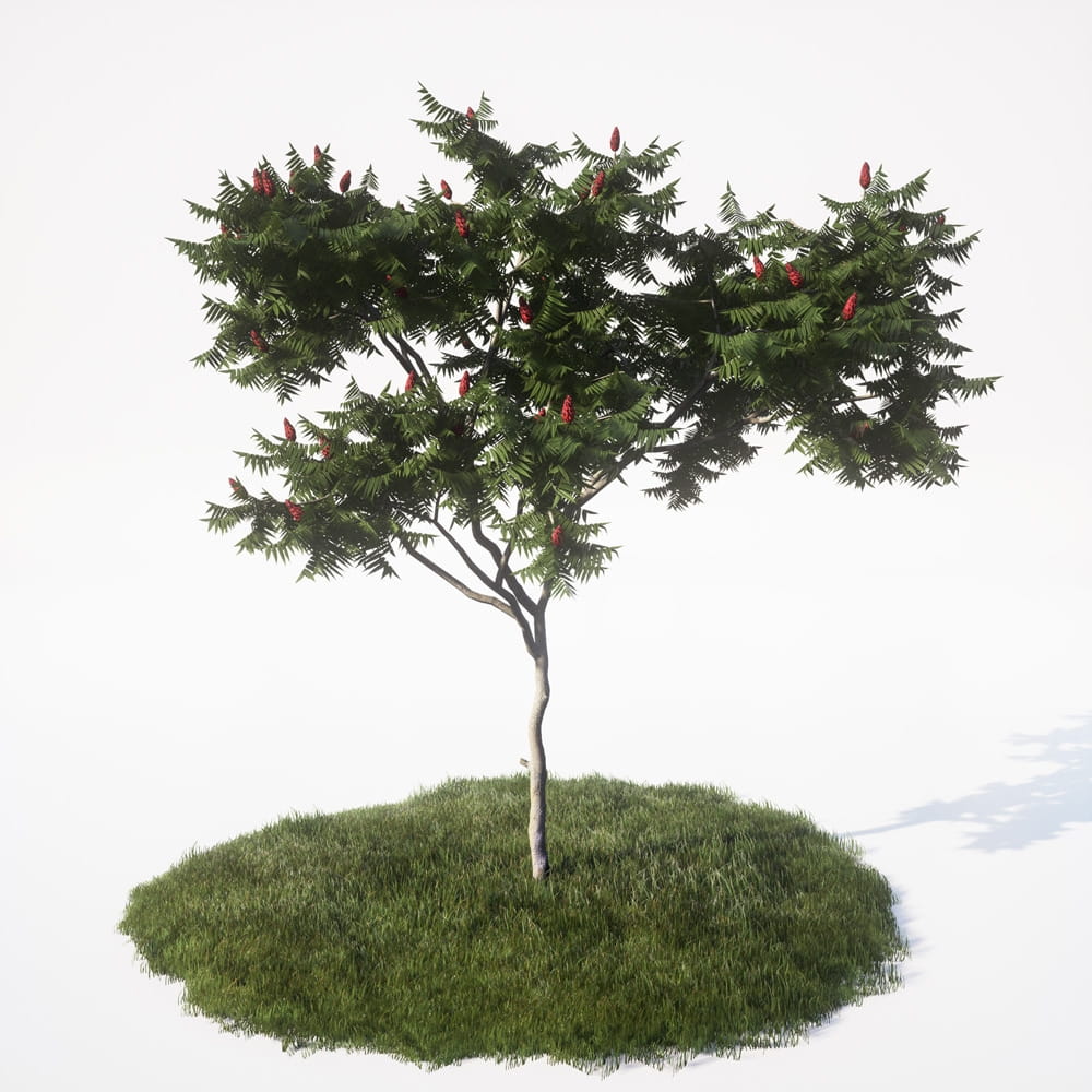 AM_UE4_vol4_006