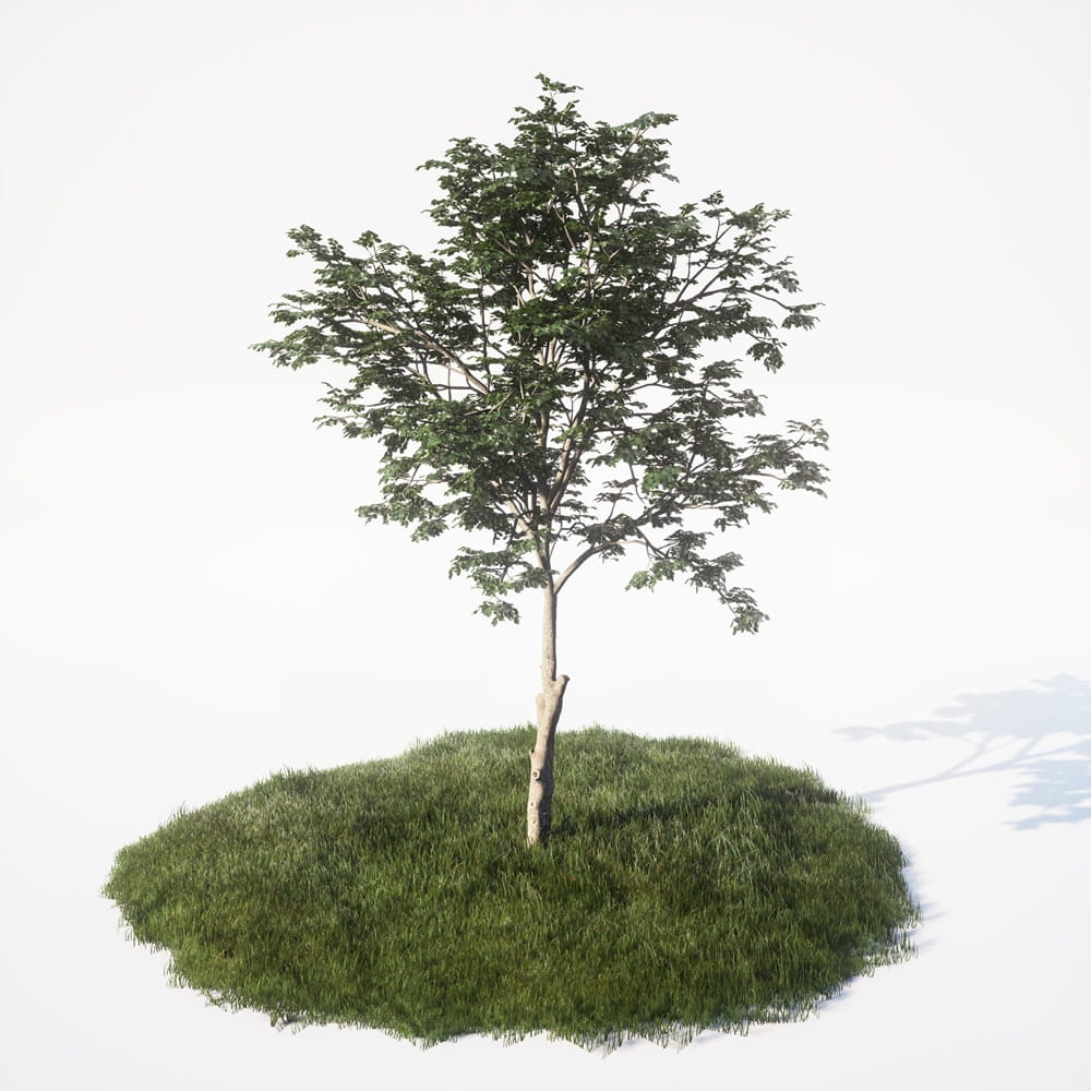 AM_UE4_vol4_007