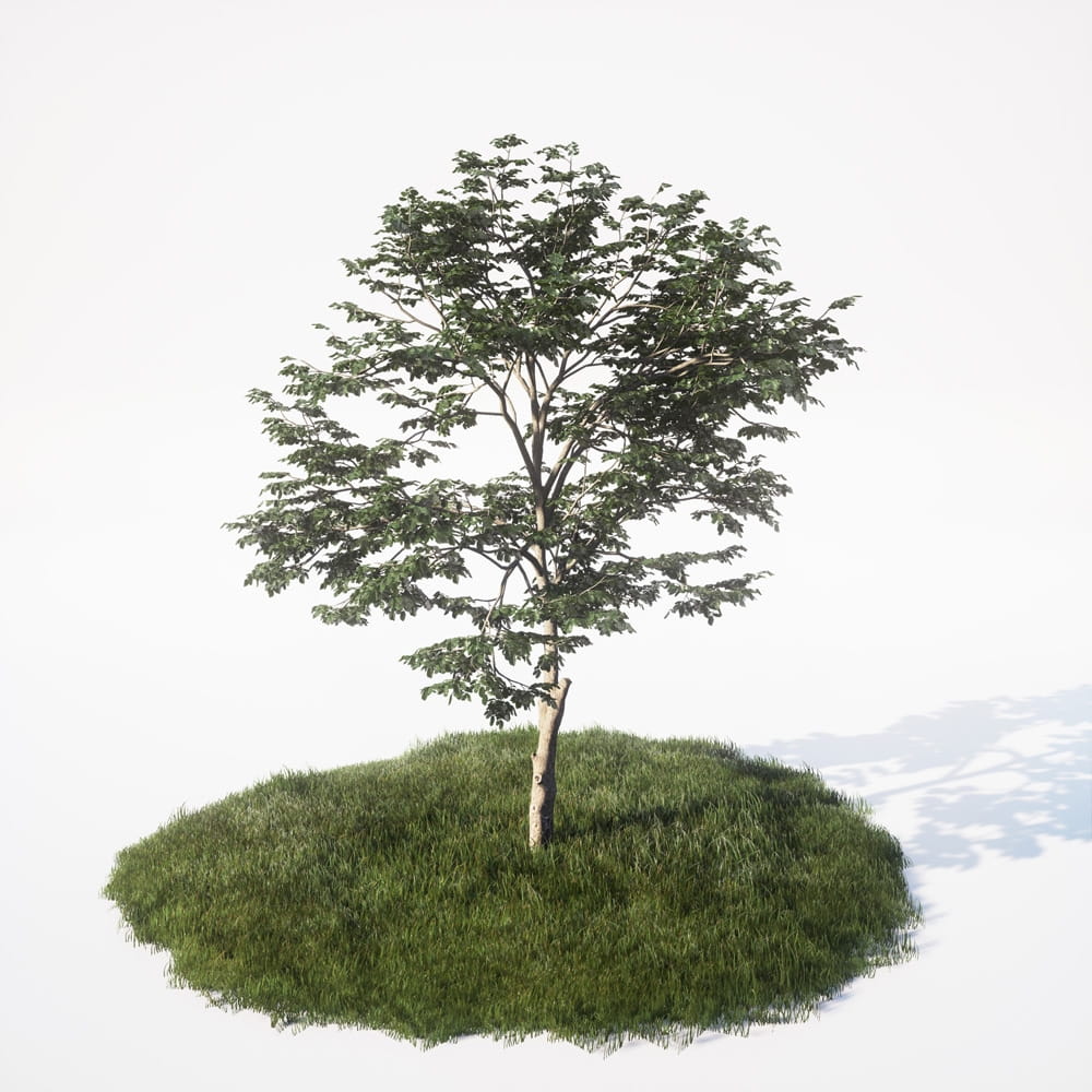 AM_UE4_vol4_008