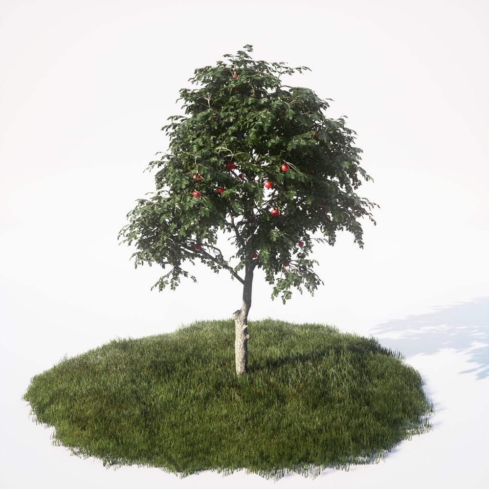AM_UE4_vol4_009
