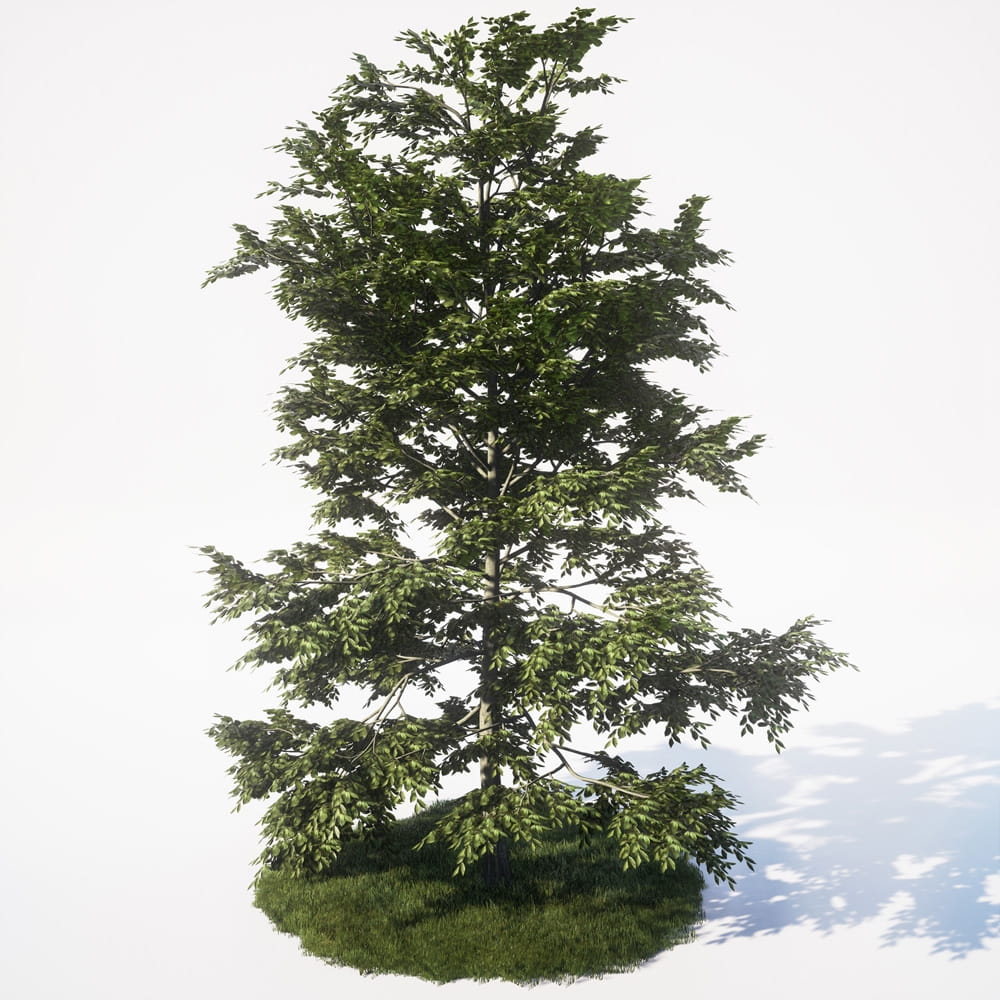 AM_UE4_vol4_010