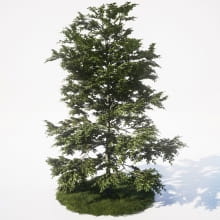 AM_UE4_vol4_010