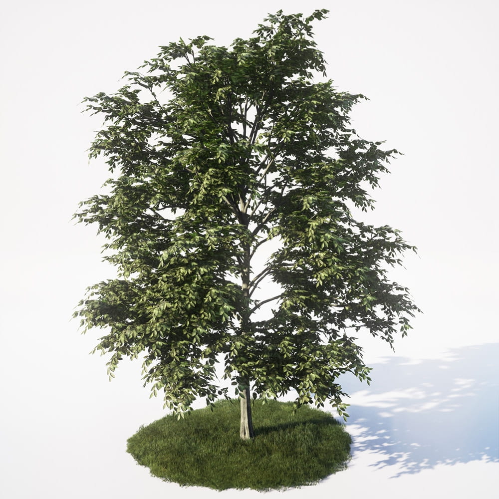 AM_UE4_vol4_011