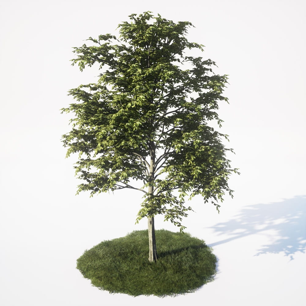 AM_UE4_vol4_012