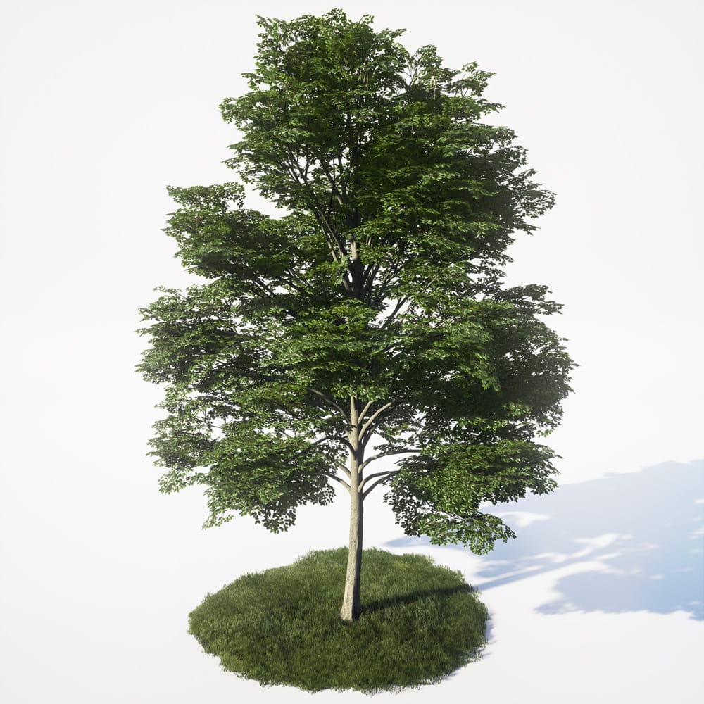 AM_UE4_vol4_013
