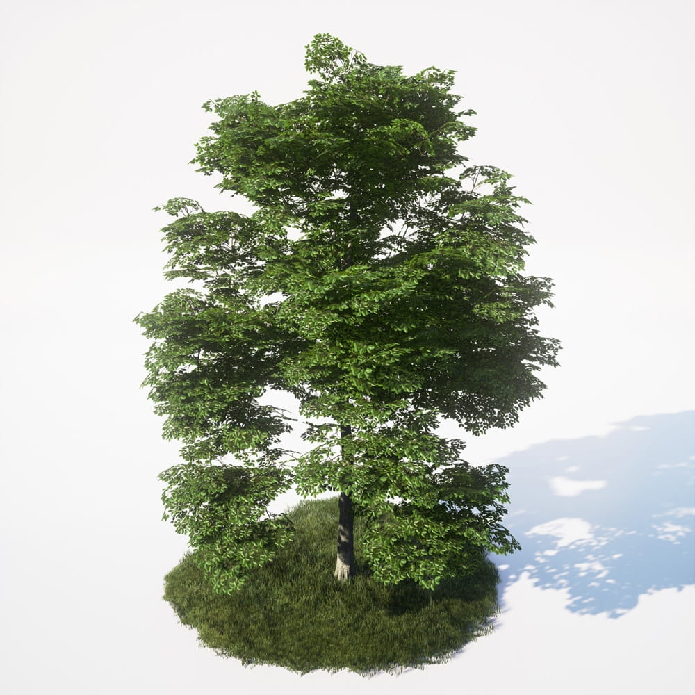 AM_UE4_vol4_014