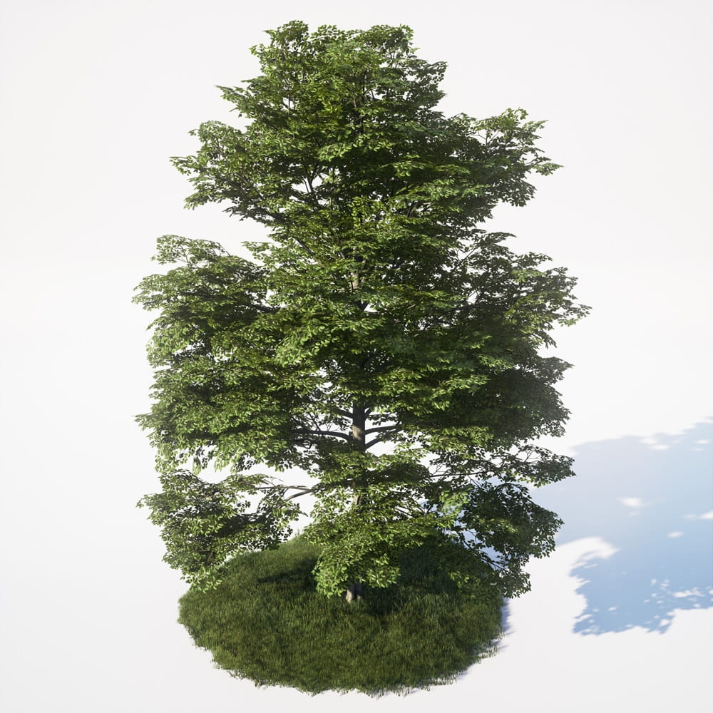 AM_UE4_vol4_015
