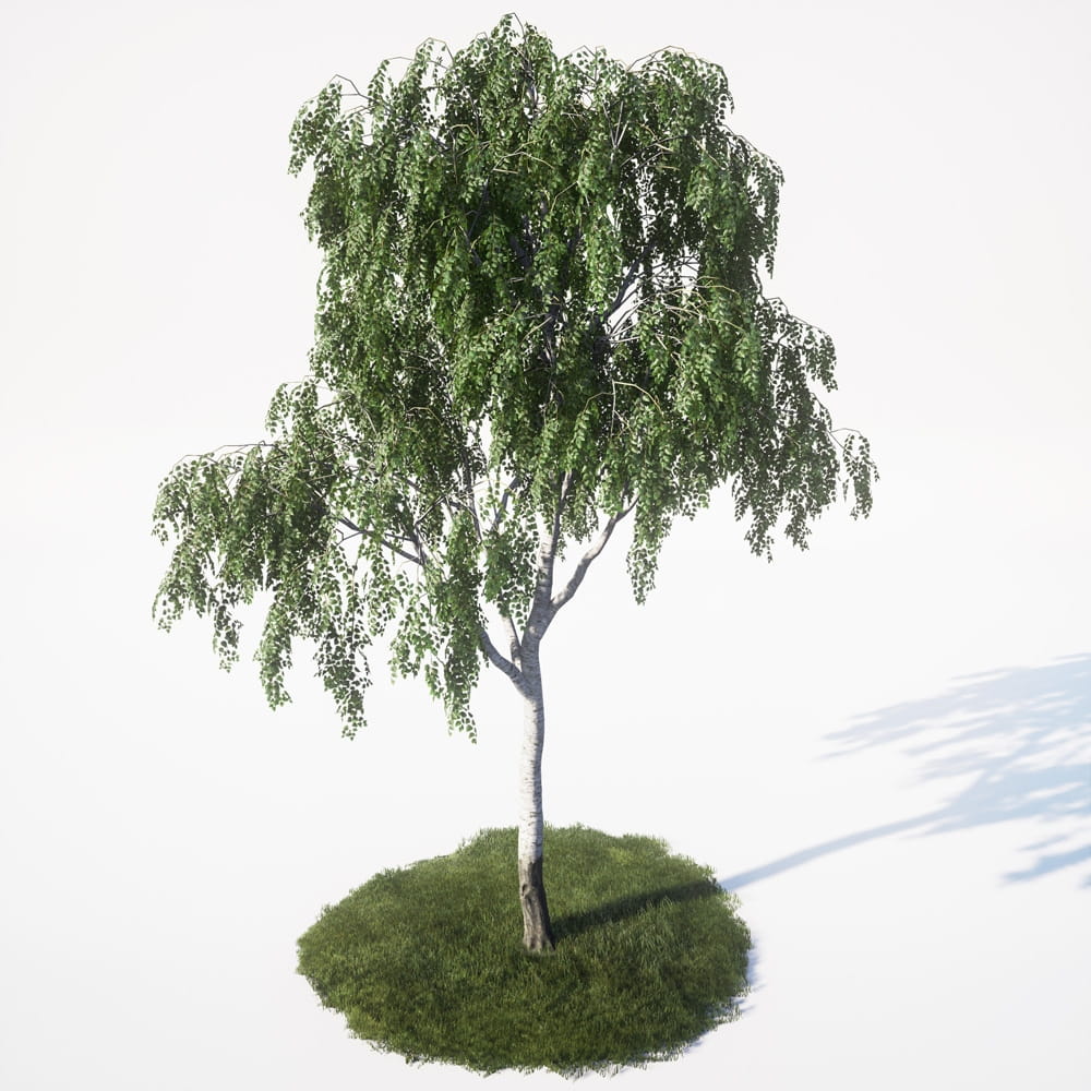 AM_UE4_vol4_016