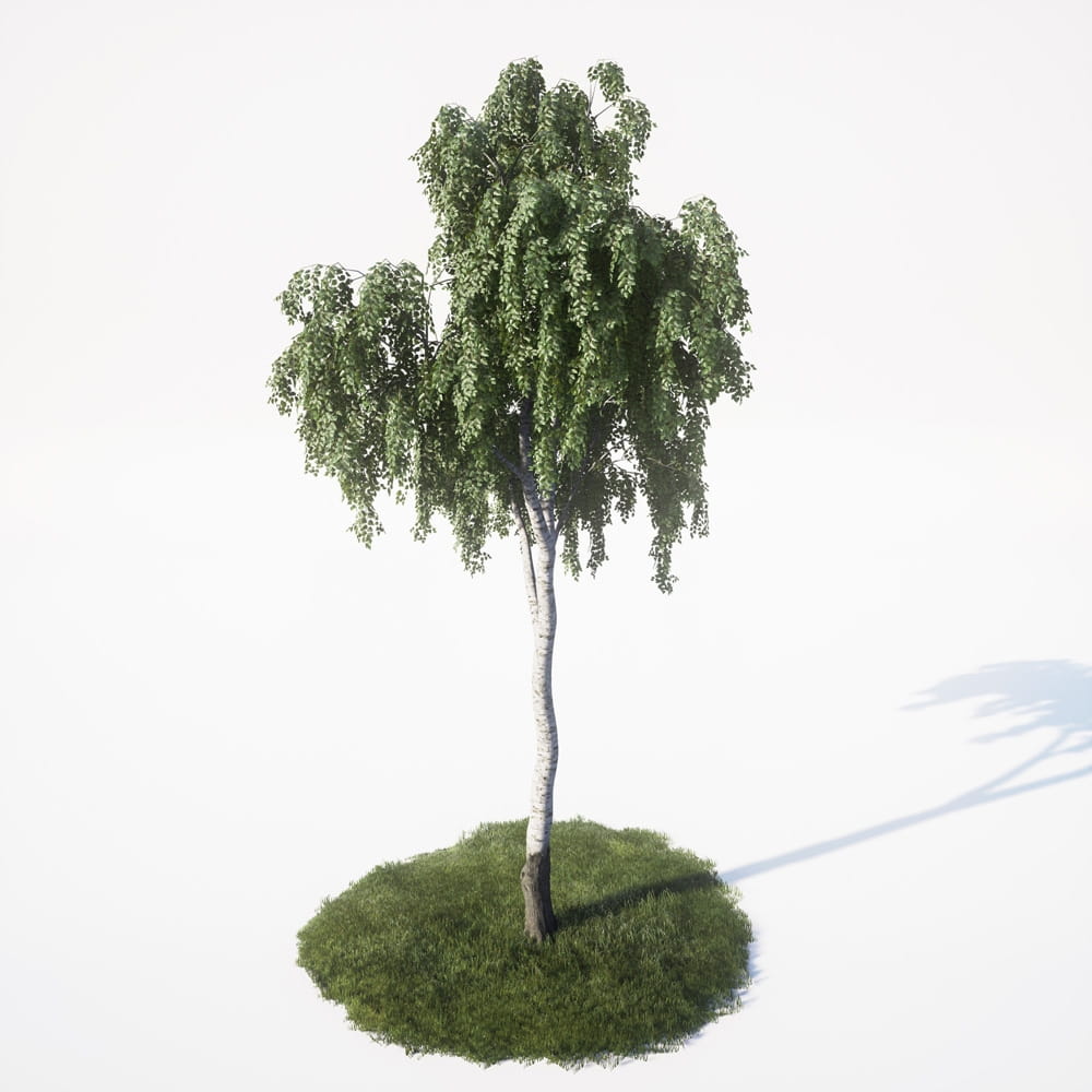 AM_UE4_vol4_017